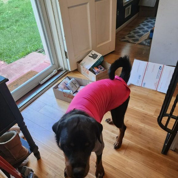 Dog Pet Solis UV Coverup