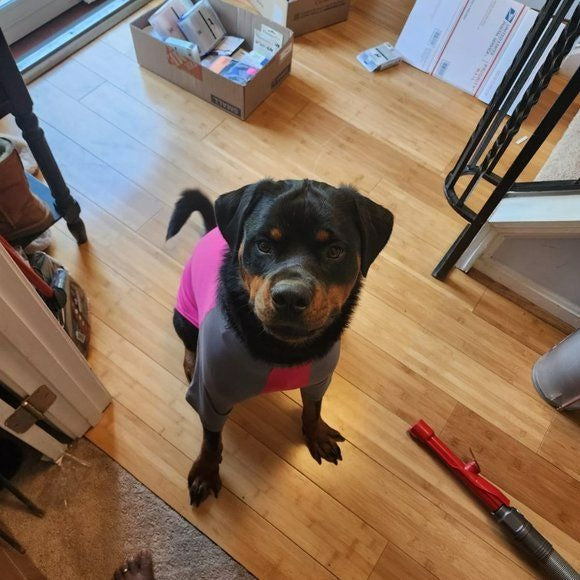 Dog Pet Solis UV Coverup