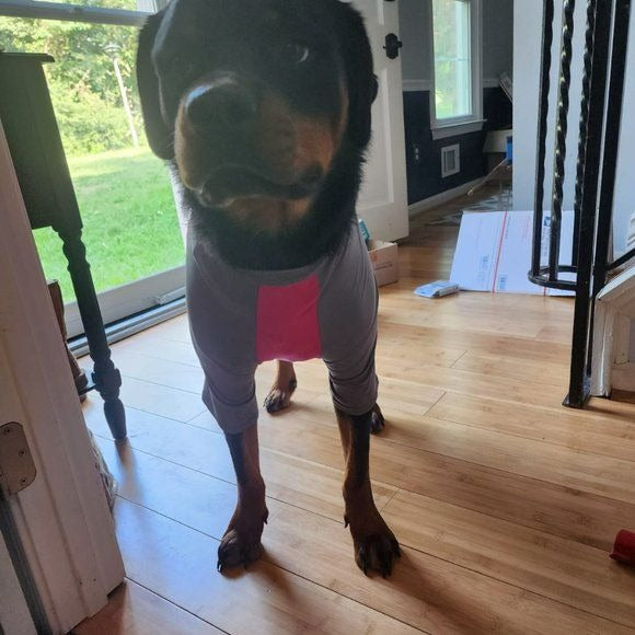 Dog Pet Solis UV Coverup