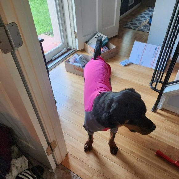 Dog Pet Solis UV Coverup