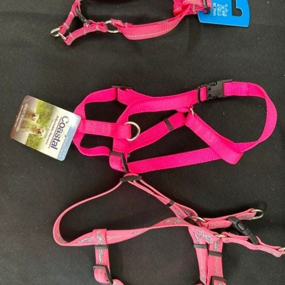 Pet Harnesses and Collars