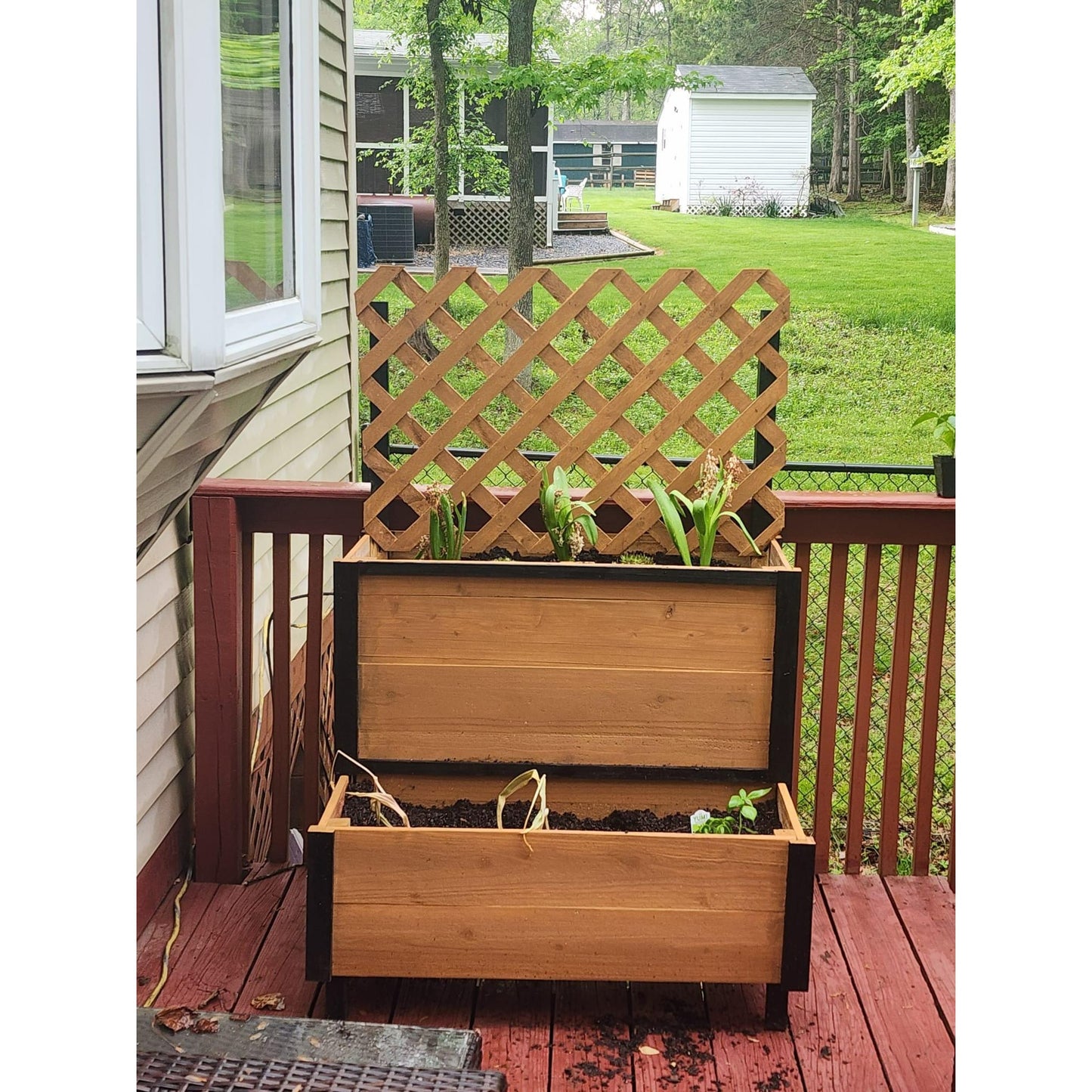 Handcrafted Cedar wood Planter Box with Trellis | Rustic Charm for Gardens & Patios | Gift | Spacious Double Design | Eco-Friendly |2-Tier Raised