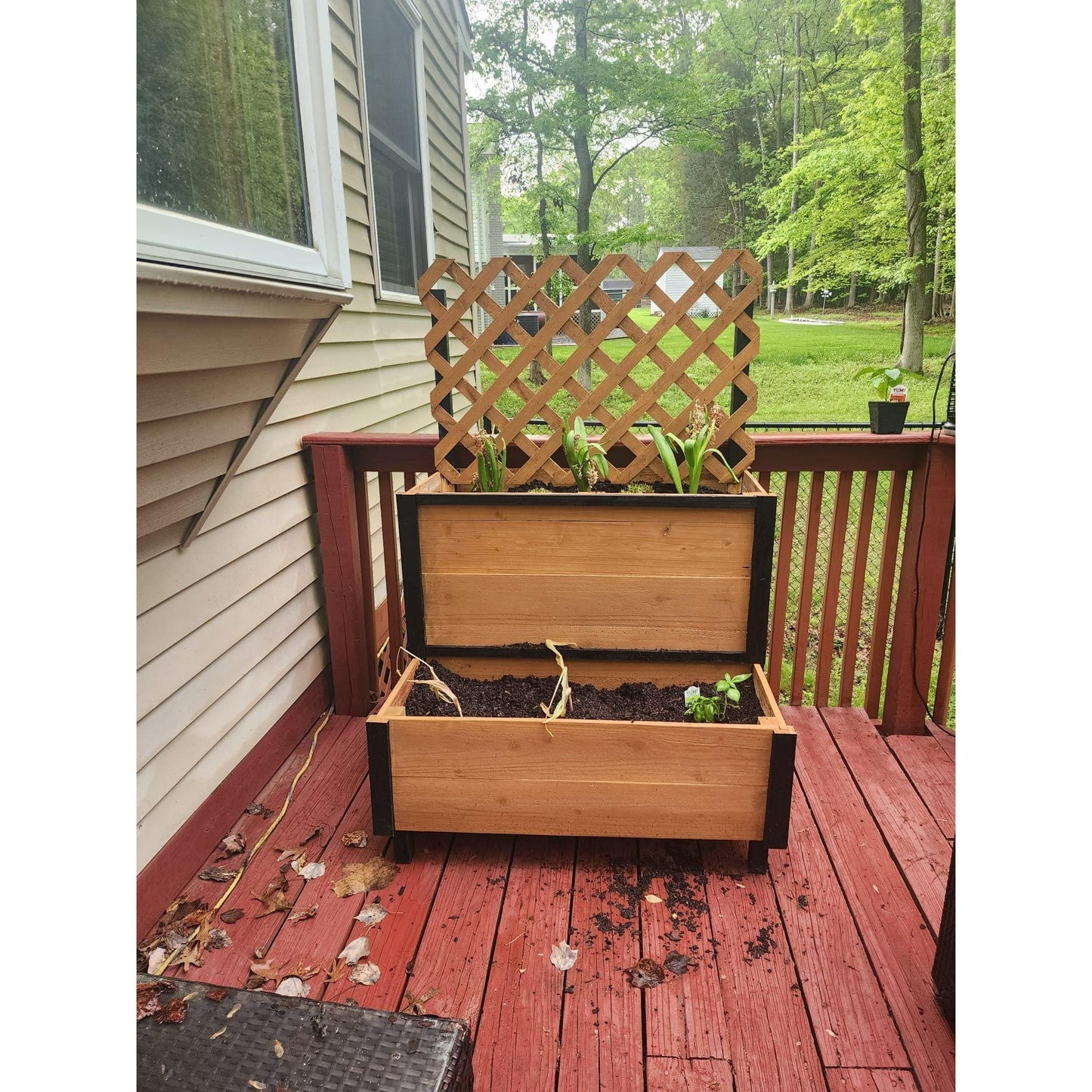 Handcrafted Cedar wood Planter Box with Trellis | Rustic Charm for Gardens & Patios | Gift | Spacious Double Design | Eco-Friendly |2-Tier Raised