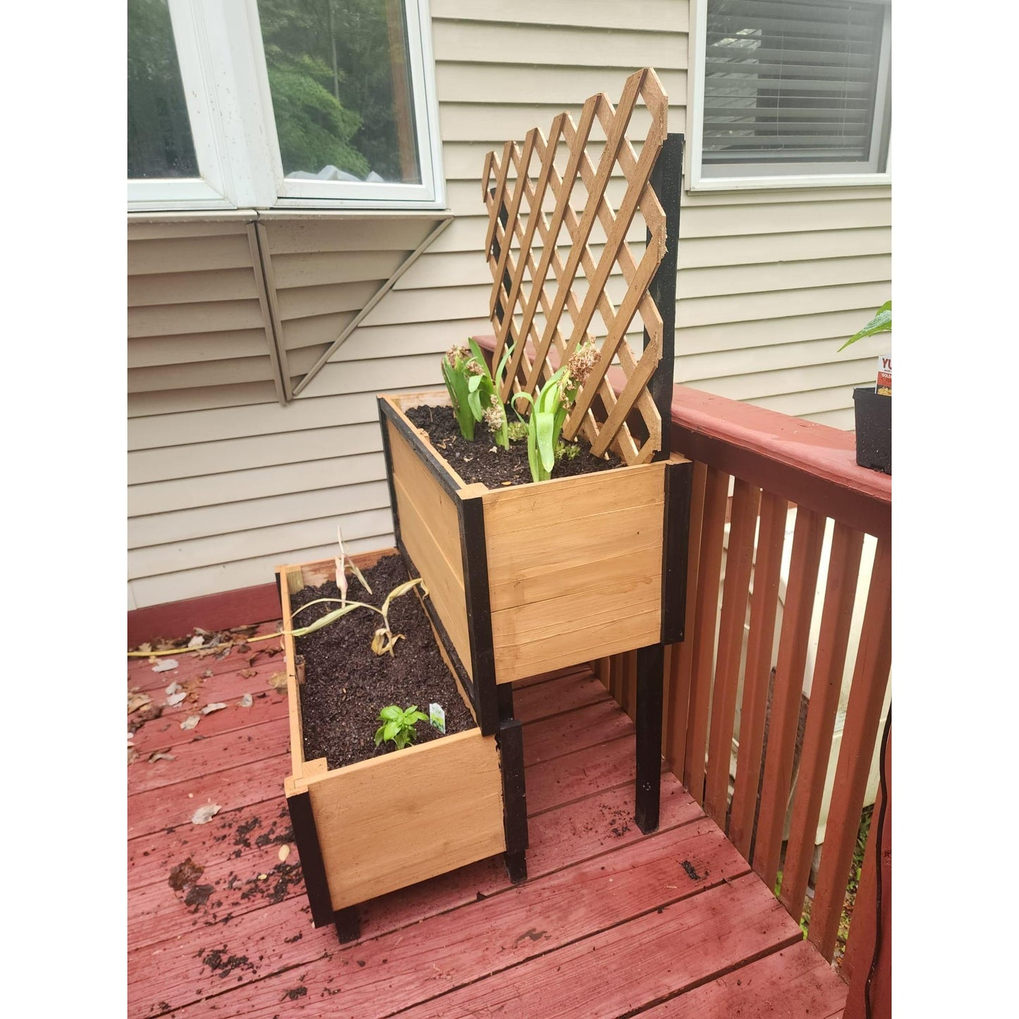 Handcrafted Cedar wood Planter Box with Trellis | Rustic Charm for Gardens & Patios | Gift | Spacious Double Design | Eco-Friendly |2-Tier Raised