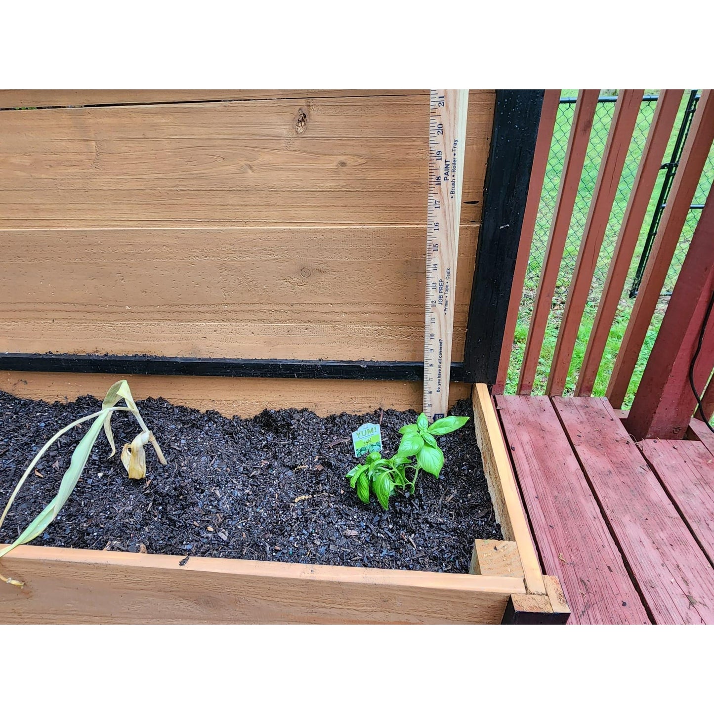 Handcrafted Cedar wood Planter Box with Trellis | Rustic Charm for Gardens & Patios | Gift | Spacious Double Design | Eco-Friendly |2-Tier Raised