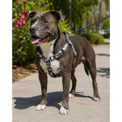 Coastal Pet Styles Dog Harness Skull Print Adjustable 20-30 Inch Chest Durable Polyester With Metal Rings & Plastic Buckle Closure