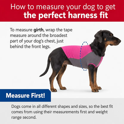 Coastal Pet Styles Dog Harness Skull Print Adjustable 20-30 Inch Chest Durable Polyester With Metal Rings & Plastic Buckle Closure