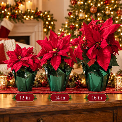 Artificial Red Christmas Poinsettia in Green Foil Pot – Holiday Tabletop Decor – 12", 14" or 16"