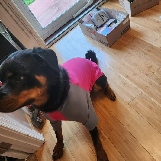 Dog Pet Solis UV Coverup