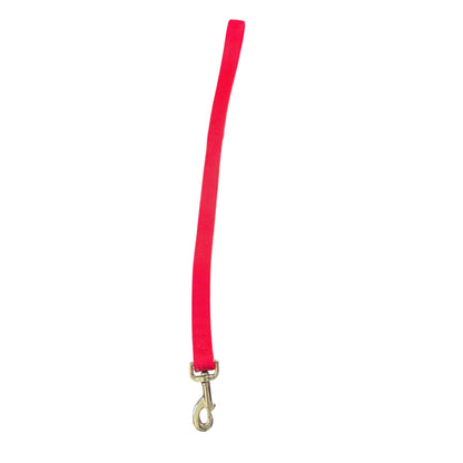 Red Durable Nylon Dog Leash 12 inches with Metal Clip (Collar Sold Separately)