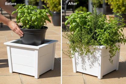 Before and after comparison of a potted plant in a white planter box on a wooden floor.