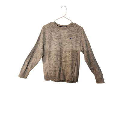 Champion Gray Sweatshirt