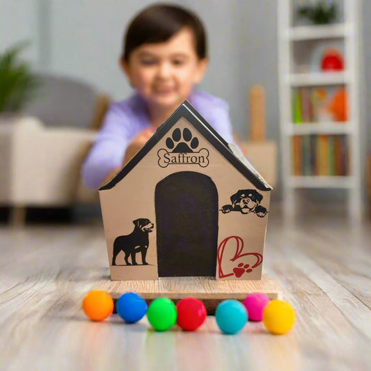Personalized Pet toy box shaped like a dog house