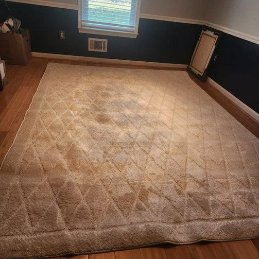 Mohawk Home Riviera Geometric Indoor Area Rug Size 5x7 color Cream