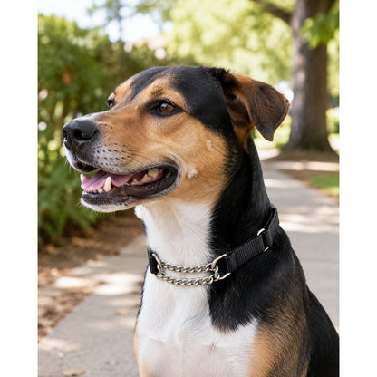 Adjustable Nylon & Chain Check Training Collar 14" Black - Humane Control For Dogs