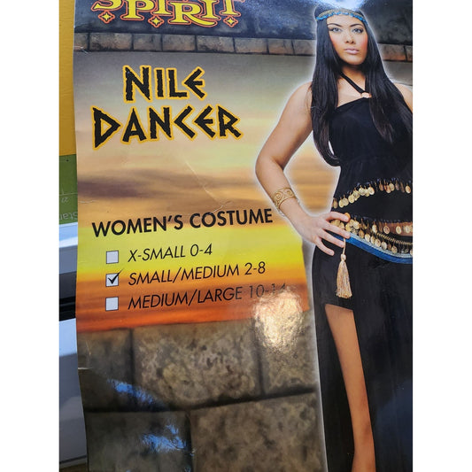 Spirit Halloween Nile Costume