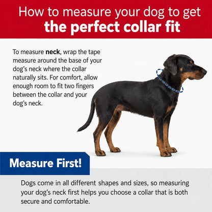 Skull Pattern Dog Collar 14"-20" Adjustable Medium Coastal Pet Black & White