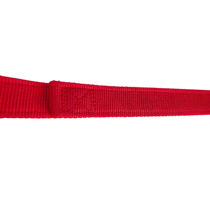 Coastal Durable Red Nylon Dog Leash With Metal Clip 6-Foot Long For Everyday Use (Collar Sold Separately)