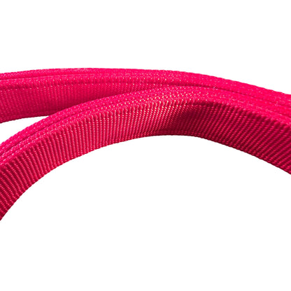 Coastal Durable Red Nylon Dog Leash With Metal Clip 6-Foot Long For Everyday Use (Collar Sold Separately)