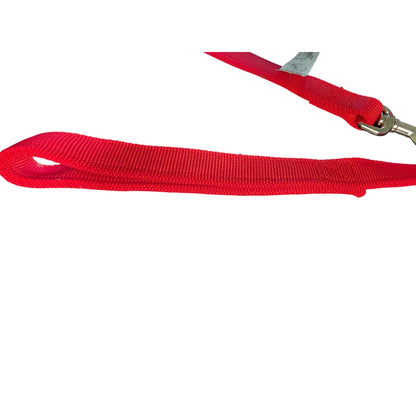 Coastal Durable Red Nylon Dog Leash With Metal Clip 6-Foot Long For Everyday Use (Collar Sold Separately)